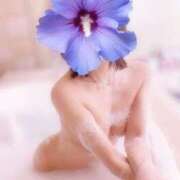 ヒメ日記 2025/04/08 23:40 投稿 新人・ほのか CLASSY.四日市店