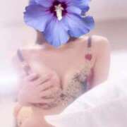 ヒメ日記 2025/04/14 07:45 投稿 新人・ほのか CLASSY.四日市店