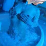 ヒメ日記 2025/04/14 09:15 投稿 新人・ほのか CLASSY.四日市店