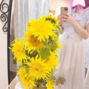 ヒメ日記 2025/08/03 17:35 投稿 新人・ほのか CLASSY.四日市店