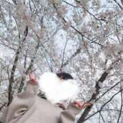 ヒメ日記 2026/03/30 09:01 投稿 新人・ほのか CLASSY.四日市店