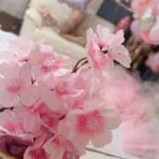 ヒメ日記 2026/04/05 08:45 投稿 新人・ほのか CLASSY.四日市店