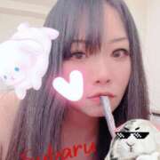 ヒメ日記 2025/02/06 11:14 投稿 スバル　【マットの魔術師】 ドMなバニーちゃん和歌山店