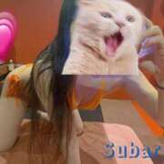 スバル　【マットの魔術師】 あと2日 ドMなバニーちゃん和歌山店