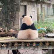 ヒメ日記 2025/11/23 09:21 投稿 ゆゆ☆圧巻のリピート率♪ 妹系イメージSOAP萌えフードル学園 大宮本校