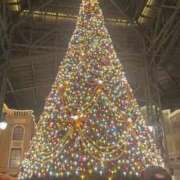 ヒメ日記 2025/12/18 23:31 投稿 ゆゆ☆圧巻のリピート率♪ 妹系イメージSOAP萌えフードル学園 大宮本校