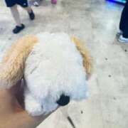 ヒメ日記 2026/02/20 09:21 投稿 ゆゆ☆圧巻のリピート率♪ 妹系イメージSOAP萌えフードル学園 大宮本校