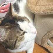 ヒメ日記 2026/03/13 21:12 投稿 ゆゆ☆圧巻のリピート率♪ 妹系イメージSOAP萌えフードル学園 大宮本校