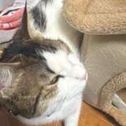 ヒメ日記 2026/03/19 21:34 投稿 ゆゆ☆圧巻のリピート率♪ 妹系イメージSOAP萌えフードル学園 大宮本校