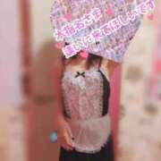 ヒメ日記 2025/11/06 00:30 投稿 野乃花（ののか） Biz-ビズ-秘密の時間