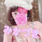 ヒメ日記 2024/12/25 18:05 投稿 三日月 大宮ウィング