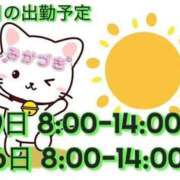 ヒメ日記 2025/01/03 12:25 投稿 三日月 大宮ウィング