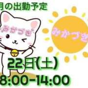 ヒメ日記 2025/02/10 10:05 投稿 三日月 大宮ウィング