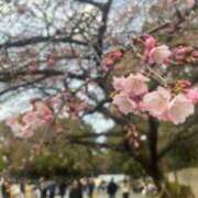 ヒメ日記 2025/03/02 18:06 投稿 三日月 大宮ウィング