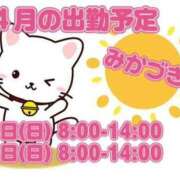 ヒメ日記 2025/04/01 13:15 投稿 三日月 大宮ウィング