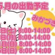 ヒメ日記 2025/04/26 09:28 投稿 三日月 大宮ウィング
