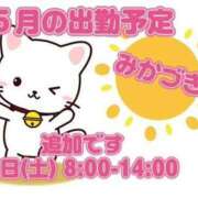 ヒメ日記 2025/05/26 00:15 投稿 三日月 大宮ウィング