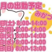 ヒメ日記 2025/08/08 12:55 投稿 三日月 大宮ウィング