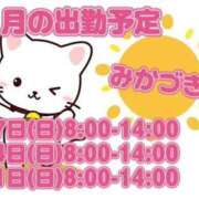 ヒメ日記 2025/08/26 12:05 投稿 三日月 大宮ウィング