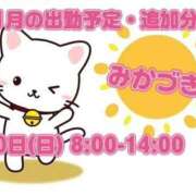ヒメ日記 2025/11/10 12:05 投稿 三日月 大宮ウィング