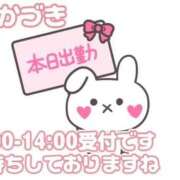 ヒメ日記 2025/11/30 07:45 投稿 三日月 大宮ウィング