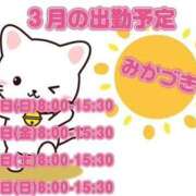 ヒメ日記 2026/02/27 20:35 投稿 三日月 大宮ウィング