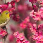 ヒメ日記 2026/03/01 16:25 投稿 三日月 大宮ウィング