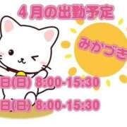ヒメ日記 2026/04/01 12:15 投稿 三日月 大宮ウィング