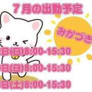 ヒメ日記 2026/06/25 12:25 投稿 三日月 大宮ウィング
