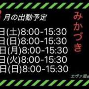 ヒメ日記 2026/07/28 20:35 投稿 三日月 大宮ウィング