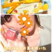 ヒメ日記 2024/06/13 14:54 投稿 渡辺みつば Mrs. Dandy