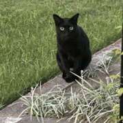 なつ なつ（エコ天王寺店） スピードエコ天王寺店