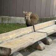 なつ なつ（エコ天王寺店） スピードエコ天王寺店