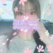 ヒメ日記 2025/10/02 10:07 投稿 夏木璃子 白夜