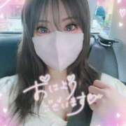 ヒメ日記 2025/10/23 10:07 投稿 夏木璃子 白夜