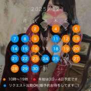 ヒメ日記 2025/11/24 14:01 投稿 夏木璃子 白夜