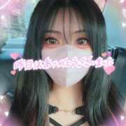 ヒメ日記 2025/11/29 09:45 投稿 夏木璃子 白夜