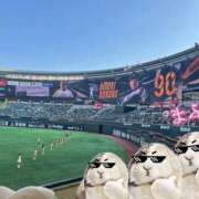 ヒメ日記 2025/06/04 20:06 投稿 まふゆ 2980円