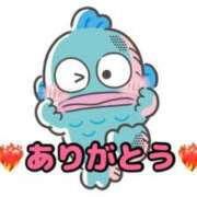 ヒメ日記 2025/05/07 21:11 投稿 ねね 脱がされたい人妻 町田・相模原店