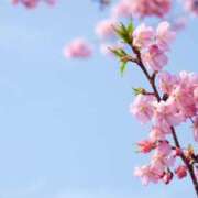 ヒメ日記 2025/05/21 09:52 投稿 ねね 脱がされたい人妻 町田・相模原店