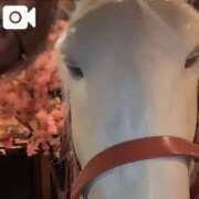 ヒメ日記 2025/02/06 09:48 投稿 ミムラ 京都回春性感マッサージ倶楽部