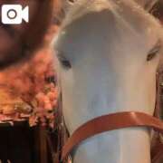 ミムラ 今年の抱負① 京都回春性感マッサージ倶楽部