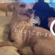 ヒメ日記 2025/03/21 07:18 投稿 あやの 京都回春性感マッサージ倶楽部