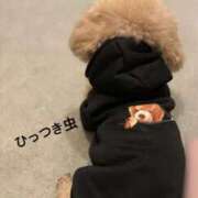 ヒメ日記 2025/12/29 09:18 投稿 あやの 京都回春性感マッサージ倶楽部