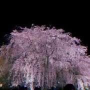 ヒメ日記 2026/04/11 18:38 投稿 あやの 京都回春性感マッサージ倶楽部