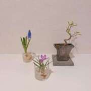 ヒメ日記 2025/02/18 20:28 投稿 百合音 京都回春性感マッサージ倶楽部