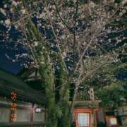 ヒメ日記 2025/03/04 00:38 投稿 百合音 京都回春性感マッサージ倶楽部