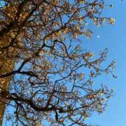 ヒメ日記 2025/03/07 01:58 投稿 百合音 京都回春性感マッサージ倶楽部