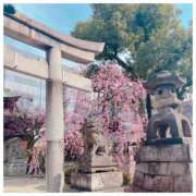 ヒメ日記 2025/03/13 23:08 投稿 百合音 京都回春性感マッサージ倶楽部