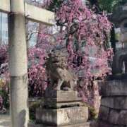 ヒメ日記 2025/03/18 18:08 投稿 百合音 京都回春性感マッサージ倶楽部